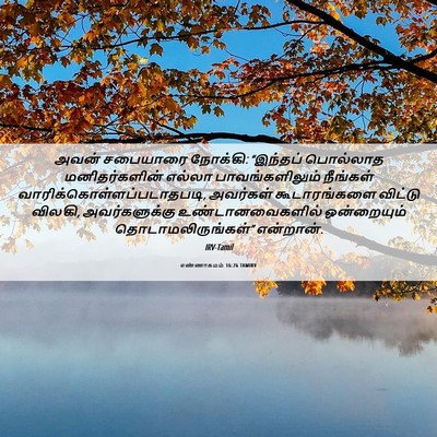 Picture 06 - எண்ணாகமம் 16:26 TAMIRV - அவன் சபையாரை - Bible Verse Picture