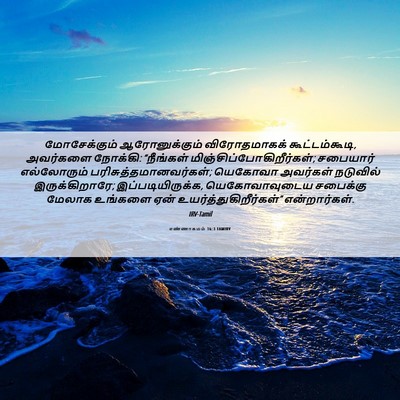 Picture 06 - எண்ணாகமம் 16:3 TAMIRV - மோசேக்கும் - Bible Verse Picture