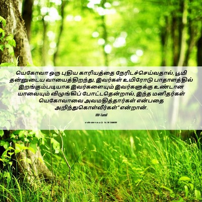 Picture 06 - எண்ணாகமம் 16:30 TAMIRV - யெகோவா ஒரு புதிய - Bible Verse Picture