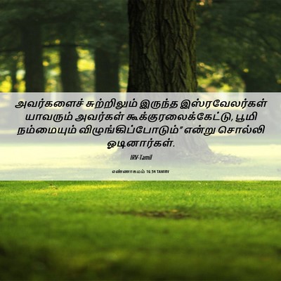 Picture 06 - எண்ணாகமம் 16:34 TAMIRV - அவர்களைச் - Bible Verse Picture