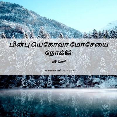 Picture 06 - எண்ணாகமம் 16:36 TAMIRV - பின்பு யெகோவா - Bible Verse Picture