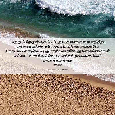 Picture 06 - எண்ணாகமம் 16:37 TAMIRV - “நெருப்பிற்குள் - Bible Verse Picture