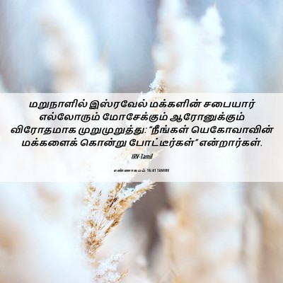 Picture 06 - எண்ணாகமம் 16:41 TAMIRV - மறுநாளில் - Bible Verse Picture