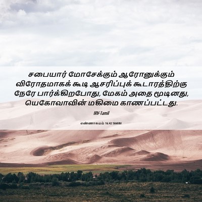 Picture 06 - எண்ணாகமம் 16:42 TAMIRV - சபையார் - Bible Verse Picture