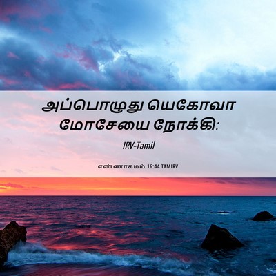 Picture 06 - எண்ணாகமம் 16:44 TAMIRV - அப்பொழுது யெகோவா - Bible Verse Picture