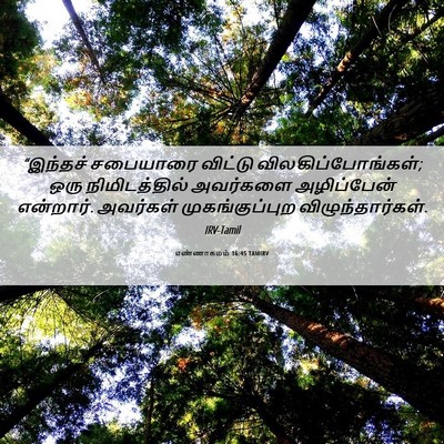 Picture 06 - எண்ணாகமம் 16:45 TAMIRV - “இந்தச் சபையாரை - Bible Verse Picture
