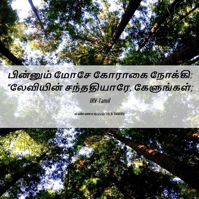 Picture 06 - எண்ணாகமம் 16:8 TAMIRV - பின்னும் மோசே - Bible Verse Picture