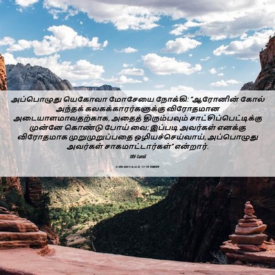 Picture 06 - எண்ணாகமம் 17:10 TAMIRV - அப்பொழுது யெகோவா - Bible Verse Picture