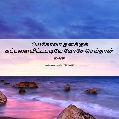 Picture 06 - எண்ணாகமம் 17:11 TAMIRV - யெகோவா தனக்குக் - Bible Verse Picture