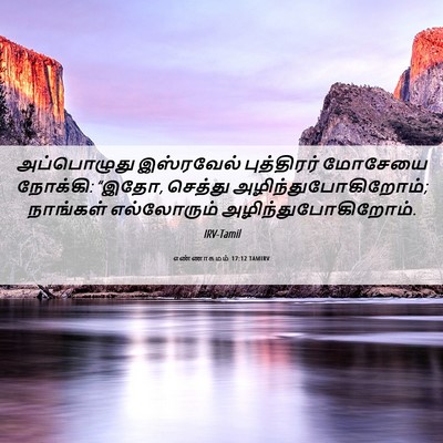 Picture 06 - எண்ணாகமம் 17:12 TAMIRV - அப்பொழுது - Bible Verse Picture