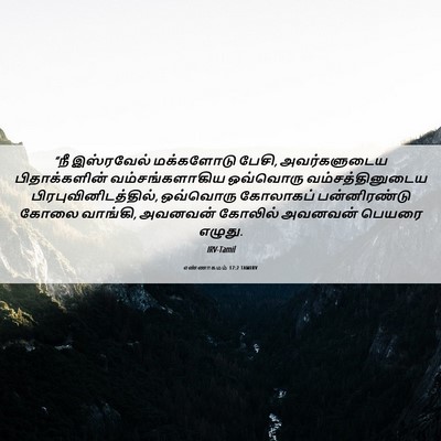 Picture 06 - எண்ணாகமம் 17:2 TAMIRV - “நீ இஸ்ரவேல் - Bible Verse Picture