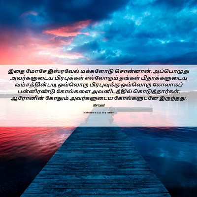 Picture 06 - எண்ணாகமம் 17:6 TAMIRV - இதை மோசே இஸ்ரவேல் - Bible Verse Picture