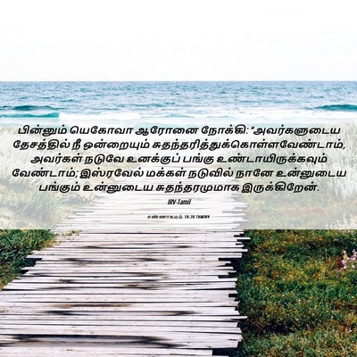 Picture 06 - எண்ணாகமம் 18:20 TAMIRV - பின்னும் யெகோவா - Bible Verse Picture