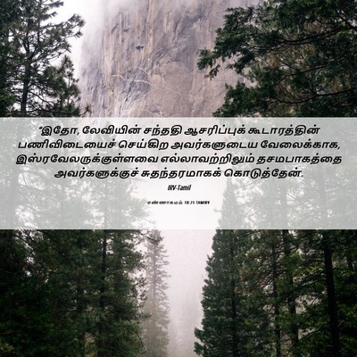 Picture 06 - எண்ணாகமம் 18:21 TAMIRV - “இதோ, லேவியின் - Bible Verse Picture
