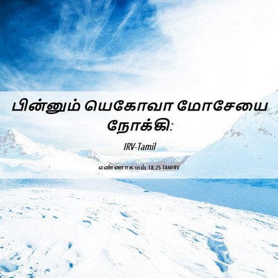 Picture 06 - எண்ணாகமம் 18:25 TAMIRV - பின்னும் யெகோவா - Bible Verse Picture