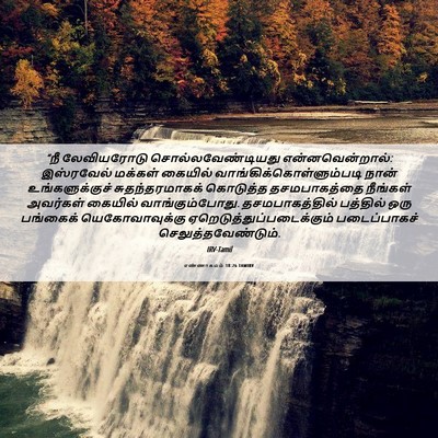 Picture 06 - எண்ணாகமம் 18:26 TAMIRV - “நீ லேவியரோடு - Bible Verse Picture