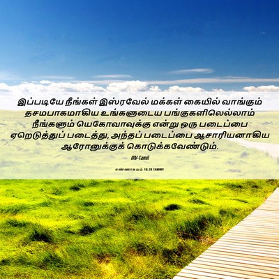 Picture 06 - எண்ணாகமம் 18:28 TAMIRV - இப்படியே நீங்கள் - Bible Verse Picture