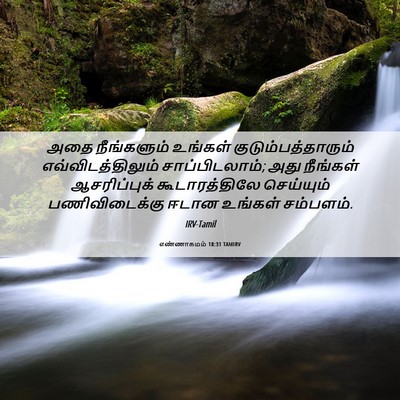 Picture 06 - எண்ணாகமம் 18:31 TAMIRV - அதை நீங்களும் - Bible Verse Picture