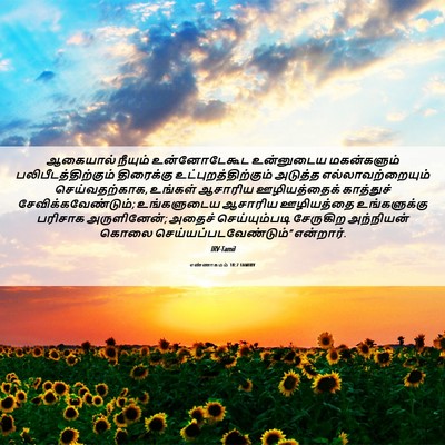 Picture 06 - எண்ணாகமம் 18:7 TAMIRV - ஆகையால் நீயும் - Bible Verse Picture