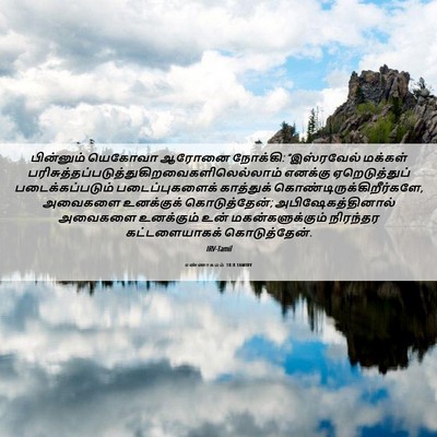 Picture 06 - எண்ணாகமம் 18:8 TAMIRV - பின்னும் யெகோவா - Bible Verse Picture
