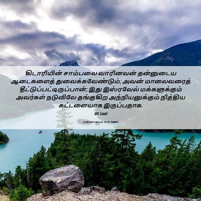 Picture 06 - எண்ணாகமம் 19:10 TAMIRV - கிடாரியின் - Bible Verse Picture