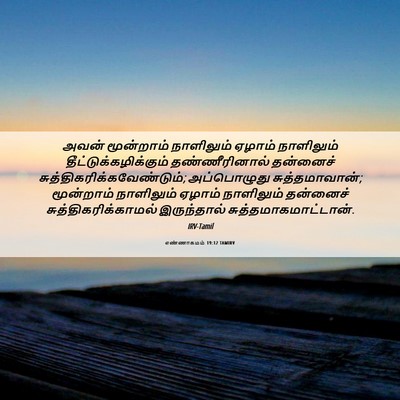 Picture 06 - எண்ணாகமம் 19:12 TAMIRV - அவன் மூன்றாம் - Bible Verse Picture