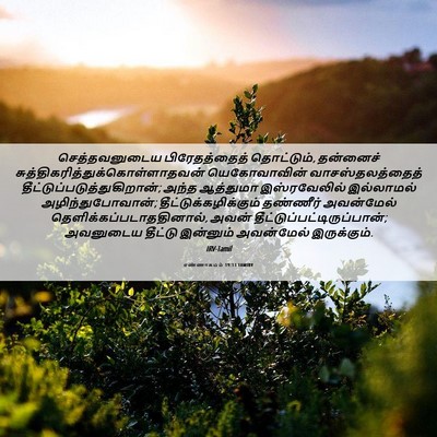 Picture 06 - எண்ணாகமம் 19:13 TAMIRV - செத்தவனுடைய - Bible Verse Picture