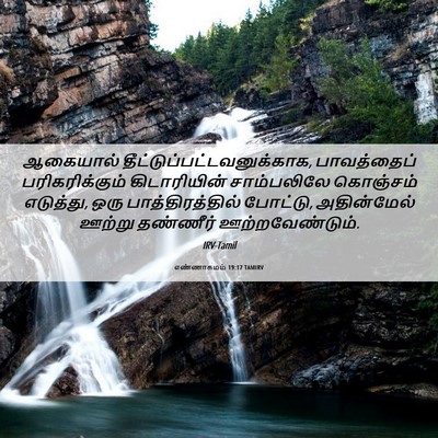 Picture 06 - எண்ணாகமம் 19:17 TAMIRV - ஆகையால் - Bible Verse Picture