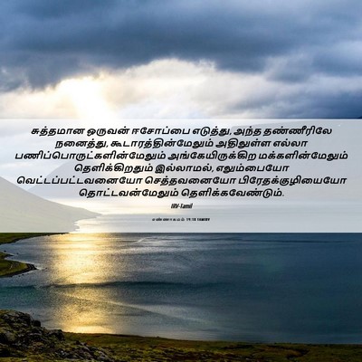 Picture 06 - எண்ணாகமம் 19:18 TAMIRV - சுத்தமான ஒருவன் - Bible Verse Picture