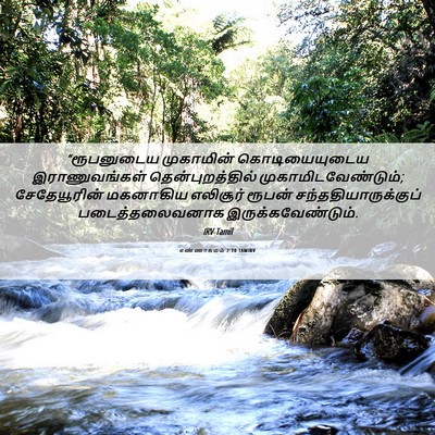 Picture 06 - எண்ணாகமம் 2:10 TAMIRV - “ரூபனுடைய - Bible Verse Picture