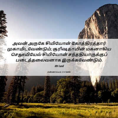 Picture 06 - எண்ணாகமம் 2:12 TAMIRV - அவன் அருகே - Bible Verse Picture