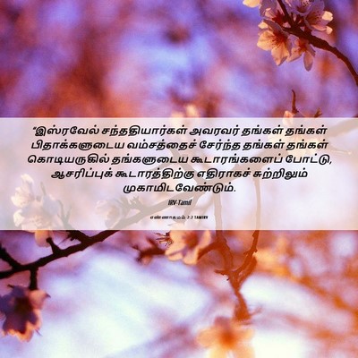 Picture 06 - எண்ணாகமம் 2:2 TAMIRV - “இஸ்ரவேல் - Bible Verse Picture