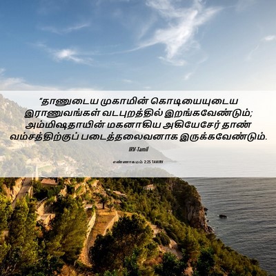 Picture 06 - எண்ணாகமம் 2:25 TAMIRV - “தாணுடைய முகாமின் - Bible Verse Picture