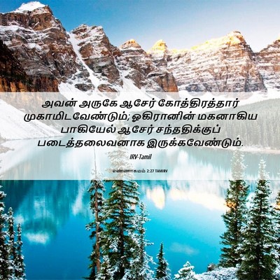 Picture 06 - எண்ணாகமம் 2:27 TAMIRV - அவன் அருகே ஆசேர் - Bible Verse Picture