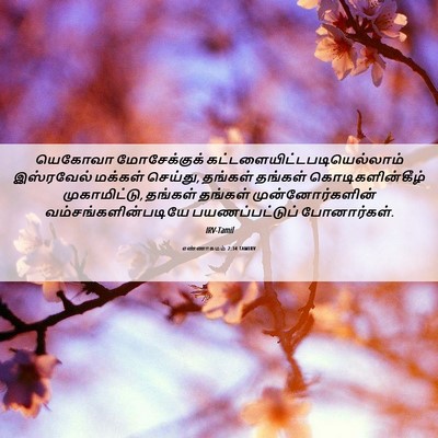Picture 06 - எண்ணாகமம் 2:34 TAMIRV - யெகோவா மோசேக்குக் - Bible Verse Picture