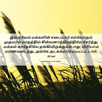 Picture 06 - எண்ணாகமம் 20:1 TAMIRV - இஸ்ரவேல் மக்களின் - Bible Verse Picture