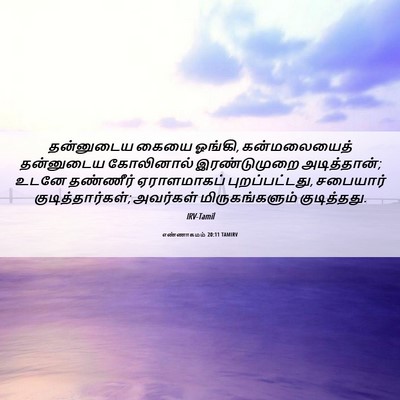 Picture 06 - எண்ணாகமம் 20:11 TAMIRV - தன்னுடைய கையை - Bible Verse Picture
