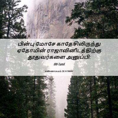 Picture 06 - எண்ணாகமம் 20:14 TAMIRV - பின்பு மோசே - Bible Verse Picture