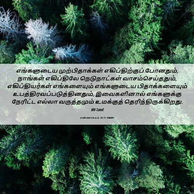 Picture 06 - எண்ணாகமம் 20:15 TAMIRV - எங்களுடைய - Bible Verse Picture