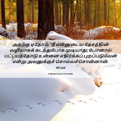 Picture 06 - எண்ணாகமம் 20:18 TAMIRV - அதற்கு ஏதோம்: “நீ - Bible Verse Picture