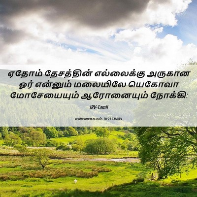 Picture 06 - எண்ணாகமம் 20:23 TAMIRV - ஏதோம் தேசத்தின் - Bible Verse Picture