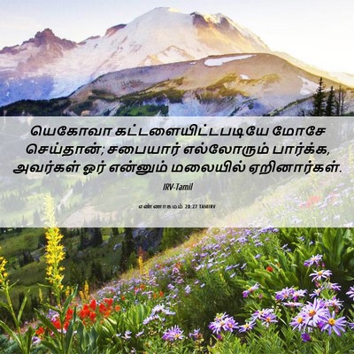 Picture 06 - எண்ணாகமம் 20:27 TAMIRV - யெகோவா - Bible Verse Picture