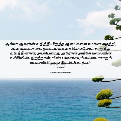 Picture 06 - எண்ணாகமம் 20:28 TAMIRV - அங்கே ஆரோன் - Bible Verse Picture