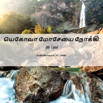 Picture 06 - எண்ணாகமம் 20:7 TAMIRV - யெகோவா மோசேயை - Bible Verse Picture