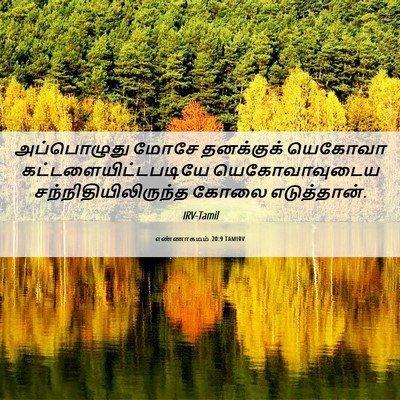Picture 06 - எண்ணாகமம் 20:9 TAMIRV - அப்பொழுது மோசே - Bible Verse Picture