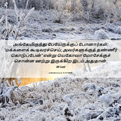 Picture 06 - எண்ணாகமம் 21:16 TAMIRV - அங்கேயிருந்து - Bible Verse Picture