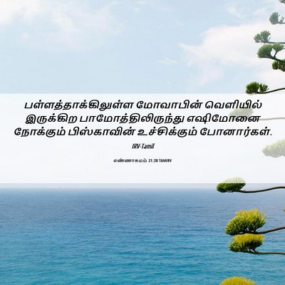 Picture 06 - எண்ணாகமம் 21:20 TAMIRV -  - Bible Verse Picture
