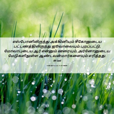 Picture 06 - எண்ணாகமம் 21:28 TAMIRV - எஸ்போனிலிருந்து - Bible Verse Picture