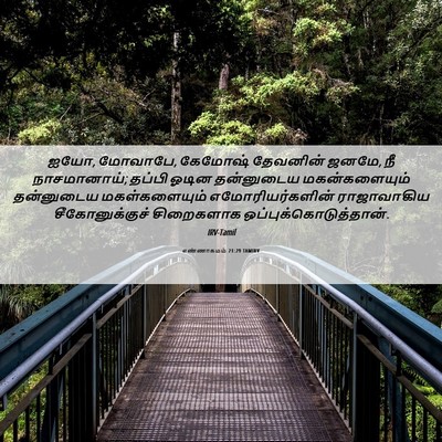 Picture 06 - எண்ணாகமம் 21:29 TAMIRV - ஐயோ, மோவாபே, கேமோஷ் - Bible Verse Picture
