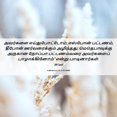 Picture 06 - எண்ணாகமம் 21:30 TAMIRV - அவர்களை - Bible Verse Picture